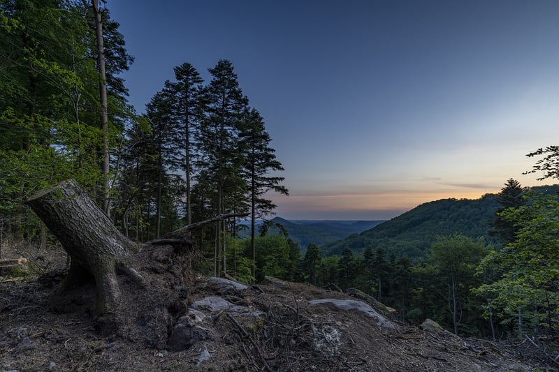 Scenic Hikes