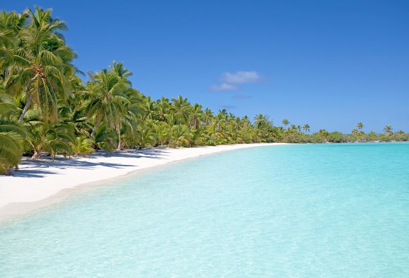 Palm-lined Beach