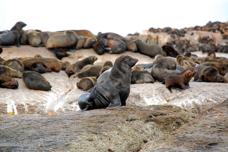 Robben Island
